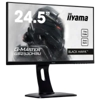 Монитор Iiyama ProLite GB2530HSU-B1 фото 1